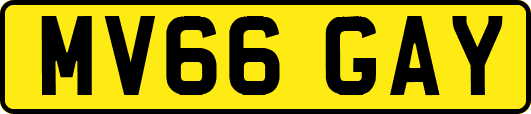 MV66GAY