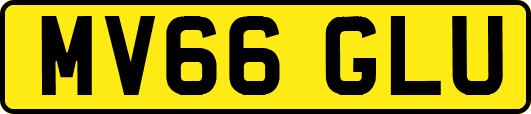 MV66GLU