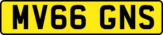 MV66GNS