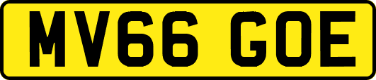 MV66GOE