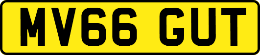 MV66GUT
