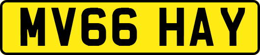 MV66HAY