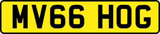 MV66HOG