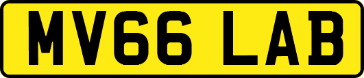 MV66LAB
