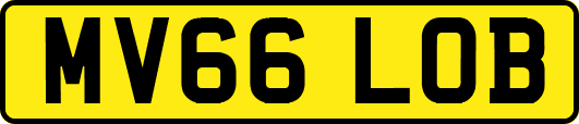 MV66LOB