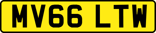 MV66LTW