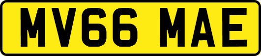 MV66MAE