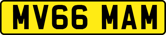 MV66MAM