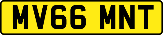 MV66MNT