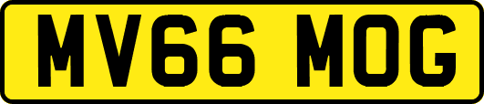 MV66MOG