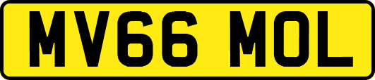MV66MOL