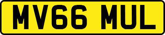 MV66MUL
