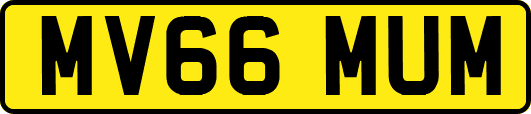 MV66MUM