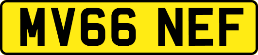 MV66NEF