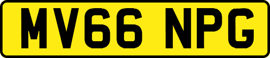 MV66NPG