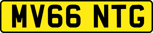MV66NTG