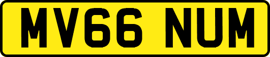 MV66NUM