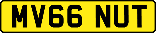 MV66NUT