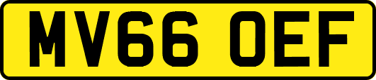 MV66OEF