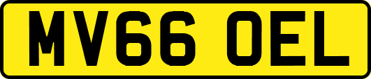 MV66OEL