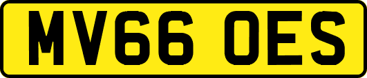 MV66OES