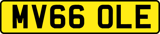 MV66OLE