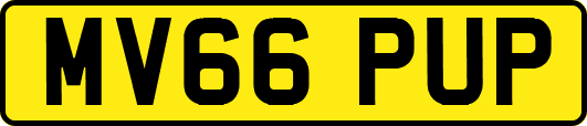 MV66PUP