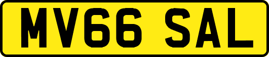MV66SAL