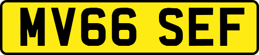 MV66SEF