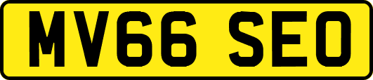 MV66SEO