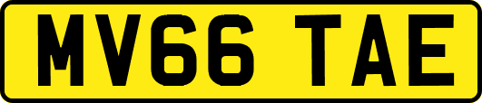 MV66TAE