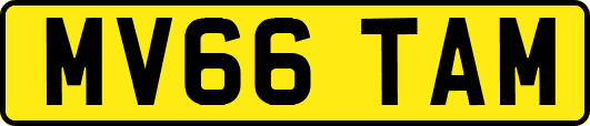 MV66TAM