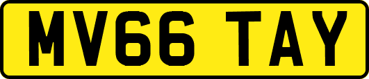 MV66TAY