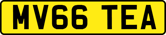 MV66TEA