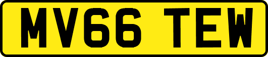 MV66TEW