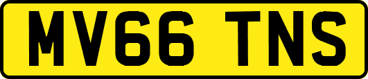 MV66TNS
