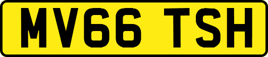 MV66TSH