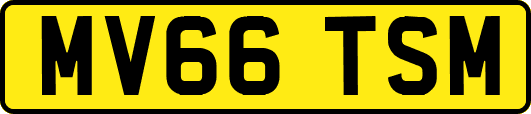 MV66TSM
