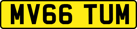 MV66TUM