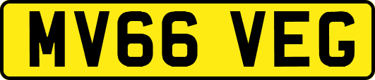 MV66VEG