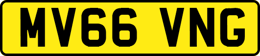 MV66VNG