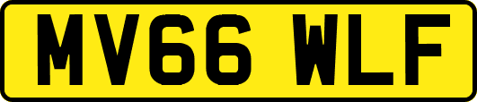 MV66WLF