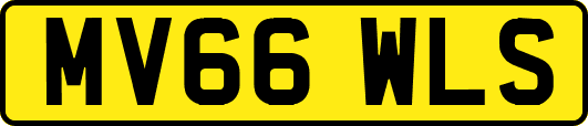 MV66WLS