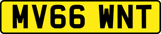 MV66WNT