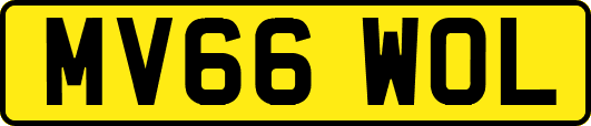 MV66WOL