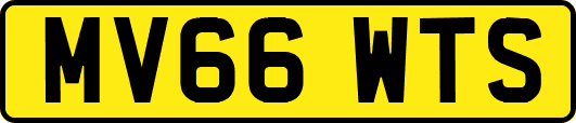 MV66WTS