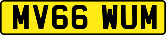 MV66WUM