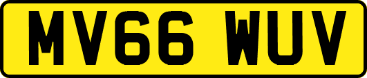 MV66WUV
