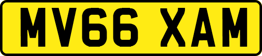 MV66XAM