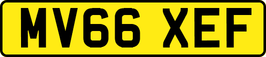 MV66XEF